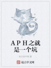 APH之就是一個坑 APH之就是一個坑