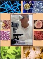 生物細胞調控療法 生物細胞調控療法