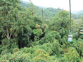 林業資金 林業資金