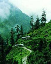 下亞東原始森林