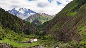 祁連山區植被垂直分布