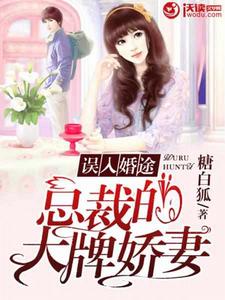 誤入婚途：總裁的大牌嬌妻