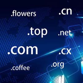 網路域名 網路域名