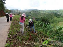 2016年9月26日黎明鄉岔河村道路一角