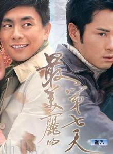 最美麗的第七天[2008年王心慰導演電視劇]