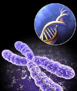 克蘭費爾特綜合徵