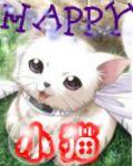 HAPPY小貓 HAPPY小貓