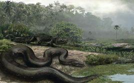 蛇類巨怪化石