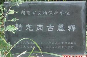 騎龍崗古墓群 騎龍崗古墓群