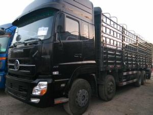 前四後八 前四後八