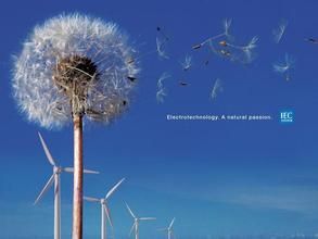 小葉蒲公英 小葉蒲公英