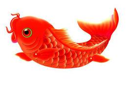 鯉魚[白鹿無涯所著小說《人骨拼圖》中的角色]