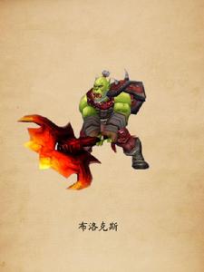 布洛克斯希加 布洛克斯希加