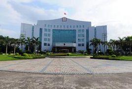 睦崗街道 睦崗街道