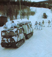 義大利阿爾卑斯山地部隊 義大利阿爾卑斯山地部隊