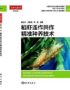 稻蝦連作共做精準養殖技術 稻蝦連作共做精準養殖技術