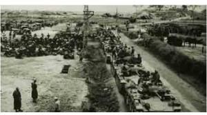 印度戰爭 印度戰爭