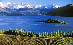 英國南非米勒釀酒公司