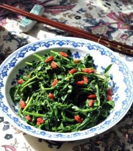 油鹽炒枸杞芽兒 油鹽炒枸杞芽兒