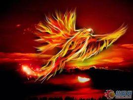 鳳凰浴火重生 鳳凰浴火重生