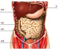 腸道痙攣 腸道痙攣