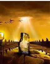 一個女人和N個男人的故事