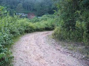 紅沙河上隊村 紅沙河上隊村