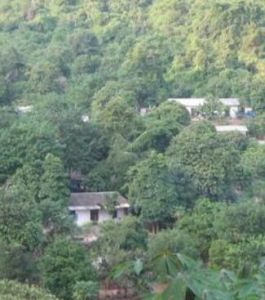 陸箐自然村 陸箐自然村