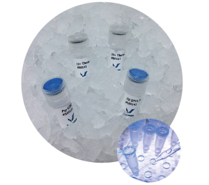 強微特分子生物學工具酶