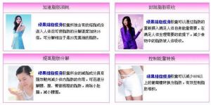 綠果排脂左鏇肉鹼瘦身膠囊