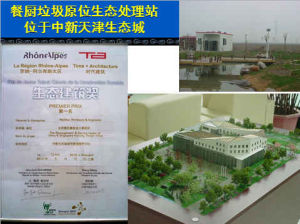 生態雨水花園 生態雨水花園