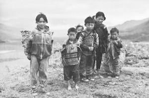 弱勢群體 弱勢群體