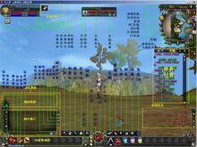 龍之夢Online[網路遊戲]