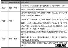智慧型電網在國外的套用
