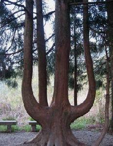 甌江源古道 甌江源古道