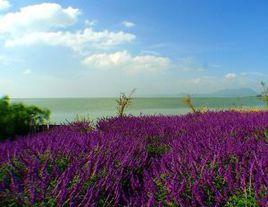 海東濕地公園 海東濕地公園