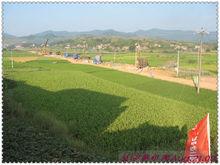 建設中的湘桂鐵路複線 祁陽段