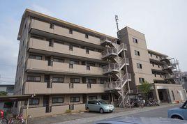 秀明大學 秀明大學