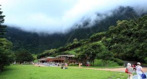 西非國家公園 西非國家公園