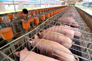 畜禽養殖業污染防治技術規範