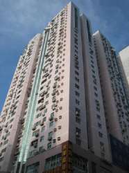 金東國際 金東國際