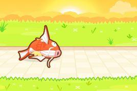 精靈寶可夢:鯉魚王跳躍 精靈寶可夢:鯉魚王跳躍