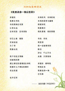 我要送你一株忘憂草 我要送你一株忘憂草