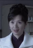 獵鷹行動[2012年錢雁秋編劇並執導電視劇]