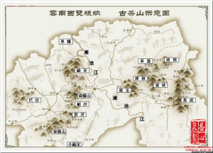 倚邦古茶山 倚邦古茶山