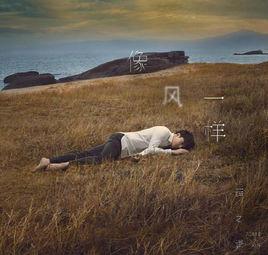 像風一樣[薛之謙演唱歌曲]