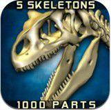 3D骨骼拆解 3D骨骼拆解