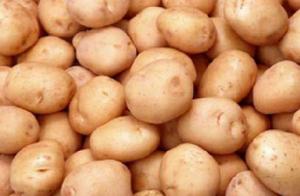 皋蘭紅砂洋芋 皋蘭紅砂洋芋