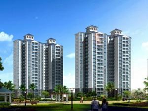 城投林海風情 城投林海風情