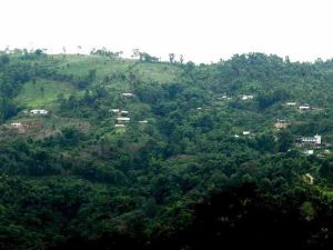 洛科新寨村 洛科新寨村